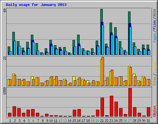Daily usage for January 2013