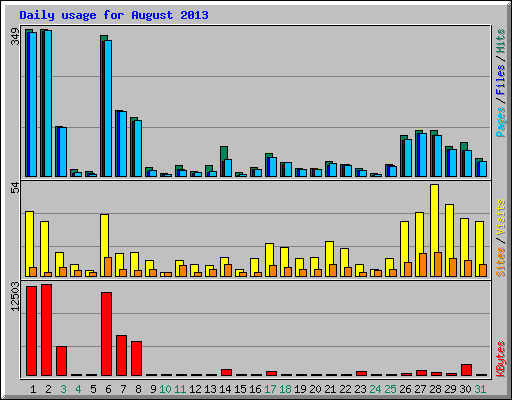 Daily usage for August 2013