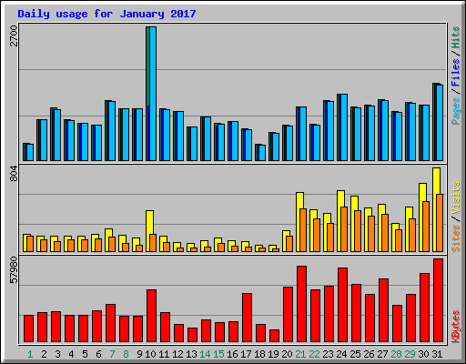 Daily usage for January 2017