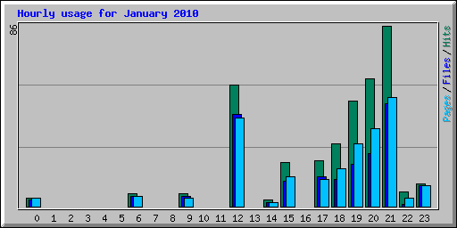 Hourly usage for January 2010