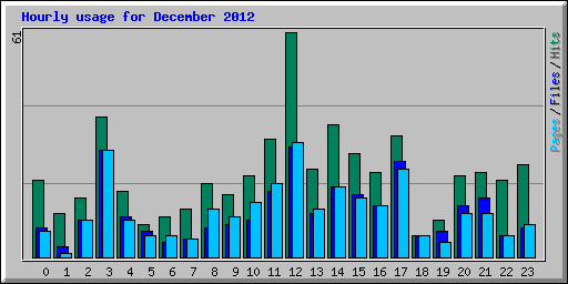 Hourly usage for December 2012