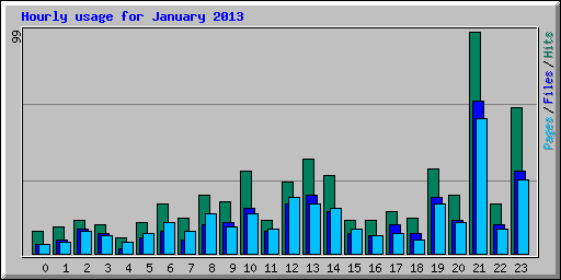 Hourly usage for January 2013