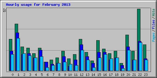 Hourly usage for February 2013