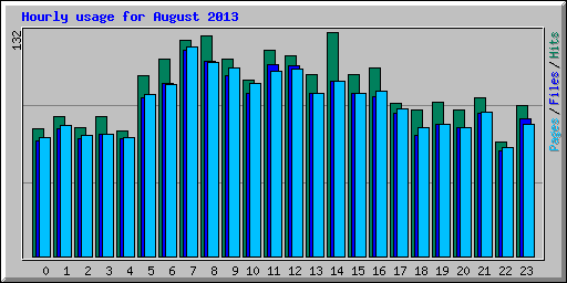 Hourly usage for August 2013