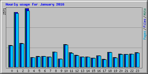 Hourly usage for January 2016