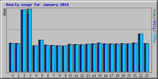 Hourly usage for January 2019
