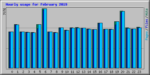 Hourly usage for February 2019