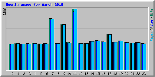 Hourly usage for March 2019