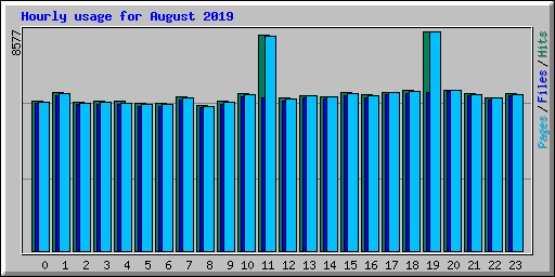 Hourly usage for August 2019