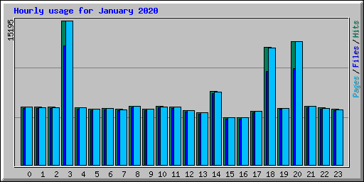 Hourly usage for January 2020