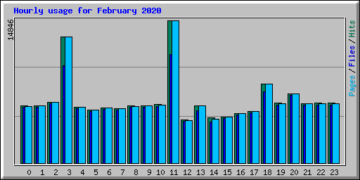 Hourly usage for February 2020