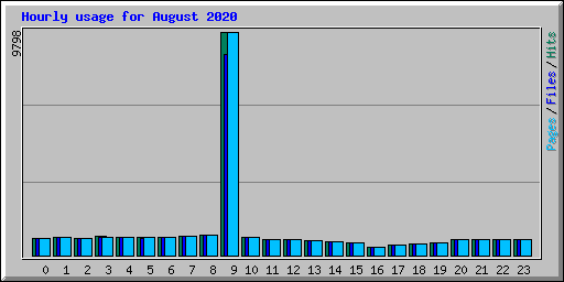 Hourly usage for August 2020